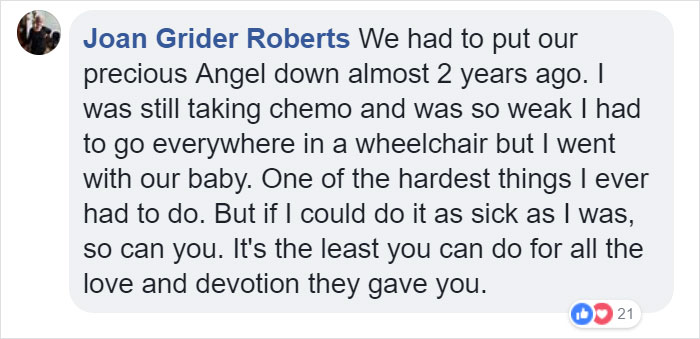 Vets Reveal What Pets Do Right Before Death, And It's A Must-Read For Every Pet Owner
