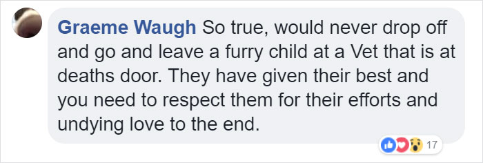 Vets Reveal What Pets Do Right Before Death, And It's A Must-Read For Every Pet Owner Vets Reveal What Pets Do Right Before Death, And It's A Must-Read For Every Pet Owner