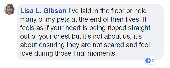 Vets Reveal What Pets Do Right Before Death, And It's A Must-Read For Every Pet Owner