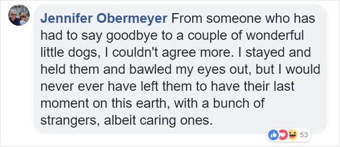 Vets Reveal What Pets Do Right Before Death, And It's A Must-Read For Every Pet Owner Vets Reveal What Pets Do Right Before Death, And It's A Must-Read For Every Pet Owner