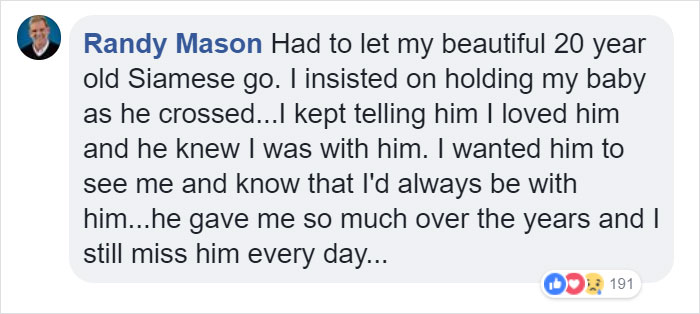 Vets Reveal What Pets Do Right Before Death, And It's A Must-Read For Every Pet Owner Vets Reveal What Pets Do Right Before Death, And It's A Must-Read For Every Pet Owner