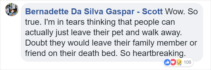 Vets Reveal What Pets Do Right Before Death, And It's A Must-Read For Every Pet Owner Vets Reveal What Pets Do Right Before Death, And It's A Must-Read For Every Pet Owner