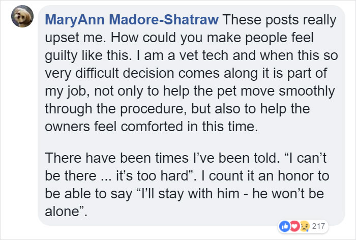 Vets Reveal What Pets Do Right Before Death, And It's A Must-Read For Every Pet Owner