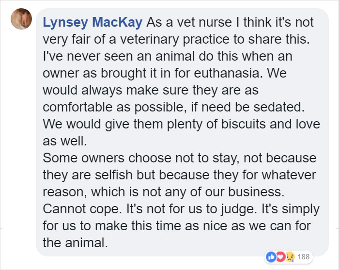 Vets Reveal What Pets Do Right Before Death, And It's A Must-Read For Every Pet Owner