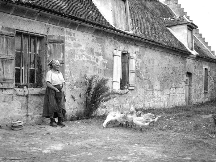 Frenchwoman And Her Geese