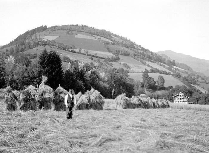 Building Shocks, Germany