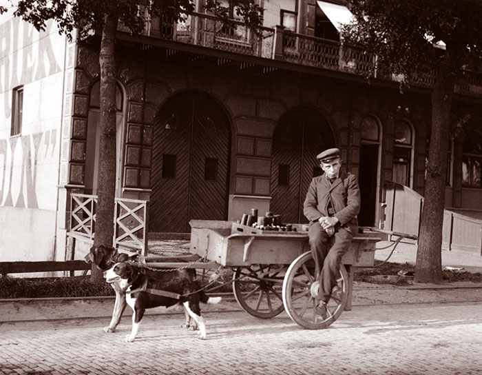 Man With Dog Cart, Netherlands