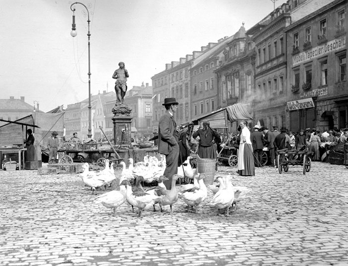 Market, Bayreuth, Germany