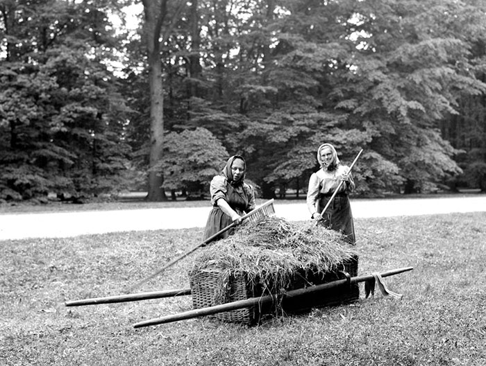 Women Gathering Hay
