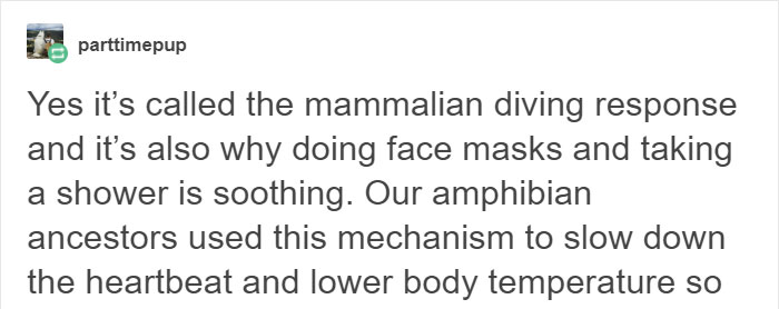 water-on-face-mammalian-diving-response-calming-peaceful-2