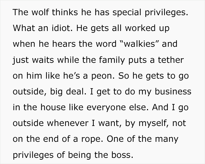 'Security Manager' Of A Rich Family Shares The Craziest Tasks He Has To Do Every Day