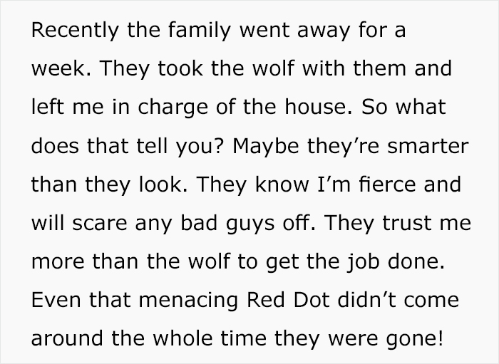 'Security Manager' Of A Rich Family Shares The Craziest Tasks He Has To Do Every Day