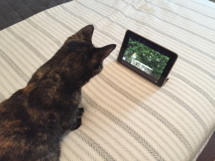 'Security Manager' Of A Rich Family Shares The Craziest Tasks He Has To Do Every Day 'Security Manager' Of A Rich Family Shares The Craziest Tasks He Has To Do Every Day