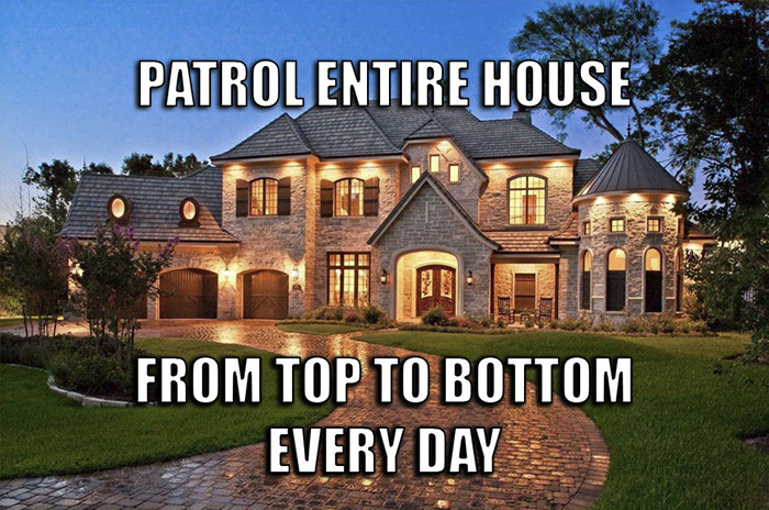 'Security Manager' Of A Rich Family Shares The Craziest Tasks He Has To Do Every Day