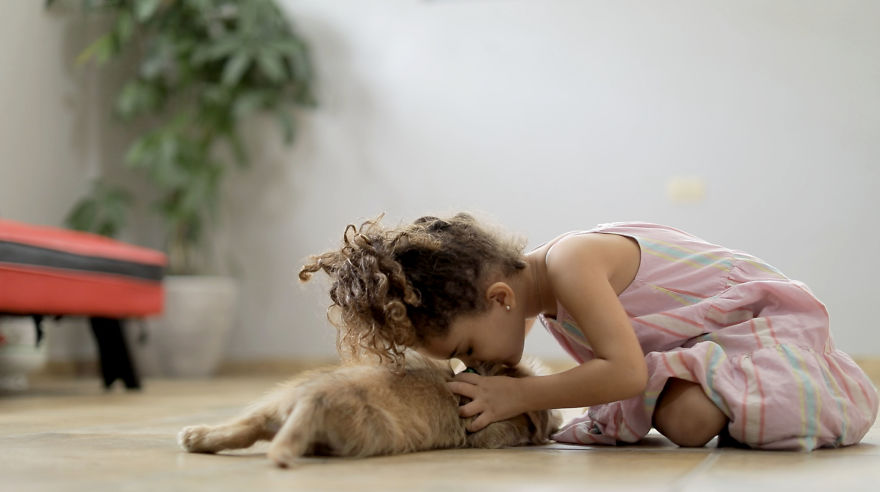 #WhatTheFluff For Abandoned Dogs