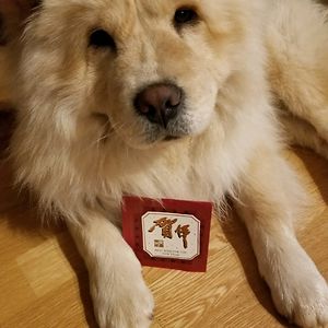 joanoconnor_1 avatar