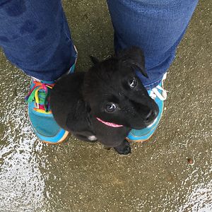 connie_yeardley avatar