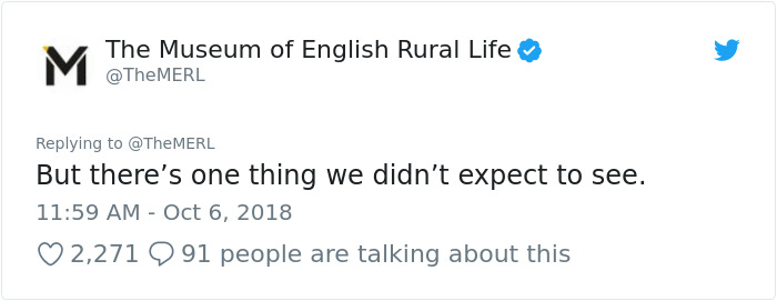 This History Museum Has Made Such A Fascinating Discovery That Even J. K. Rowling Responded This History Museum Has Made Such A Fascinating Discovery That Even J. K. Rowling Responded