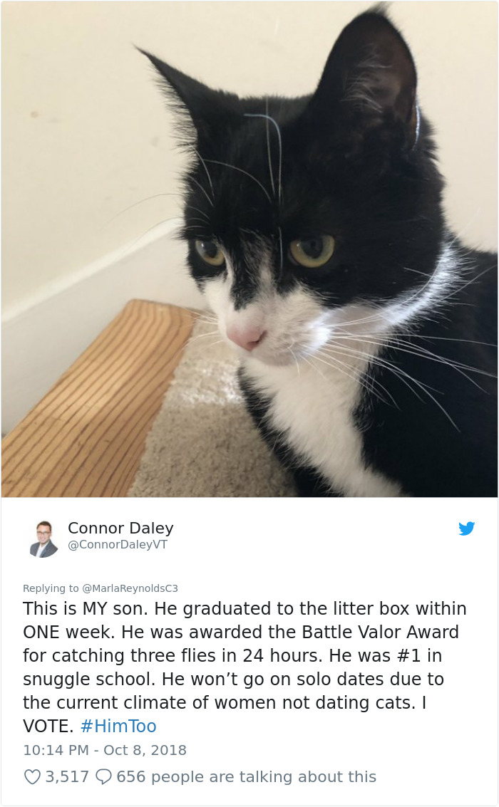 Mom Says Son Doesn't Go On Dates Because Of Feminism And Fake Sexual Accusations, And It Hilariously Backfires