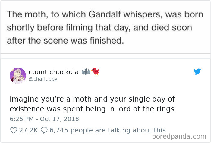 A Short Life, But A Well-Spent One