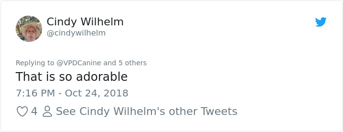 Vancouver Police Canine Unit Just Released Their 2019 Charity Calendar And It's Badass Vancouver Police Canine Unit Just Released Their 2019 Charity Calendar And It's Badass