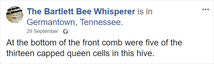 Bee Remover Posts What He Found After Removing The Bricks From A Client's Home, And His Photos Go Viral Bee Remover Posts What He Found After Removing The Bricks From A Client's Home, And His Photos Go Viral