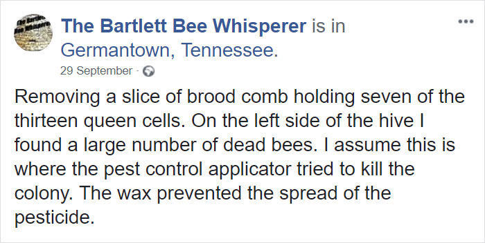 Bee Remover Posts What He Found After Removing The Bricks From A Client's Home, And His Photos Go Viral Bee Remover Posts What He Found After Removing The Bricks From A Client's Home, And His Photos Go Viral