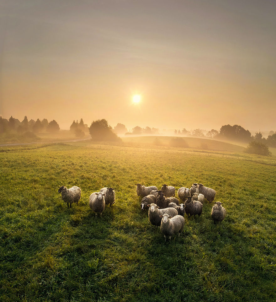 I Created A Drone Photography Album To Show How Beautiful Lithuania Is