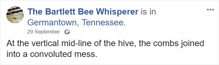 Bee Remover Posts What He Found After Removing The Bricks From A Client's Home, And His Photos Go Viral