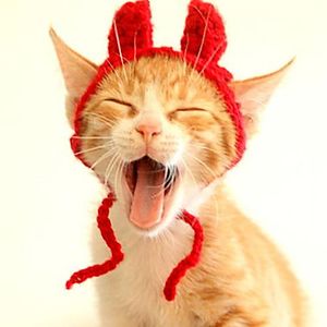 ally_holloway avatar