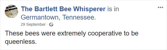 Bee Remover Posts What He Found After Removing The Bricks From A Client's Home, And His Photos Go Viral Bee Remover Posts What He Found After Removing The Bricks From A Client's Home, And His Photos Go Viral