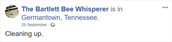 Bee Remover Posts What He Found After Removing The Bricks From A Client's Home, And His Photos Go Viral Bee Remover Posts What He Found After Removing The Bricks From A Client's Home, And His Photos Go Viral