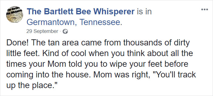 Bee Remover Posts What He Found After Removing The Bricks From A Client's Home, And His Photos Go Viral Bee Remover Posts What He Found After Removing The Bricks From A Client's Home, And His Photos Go Viral