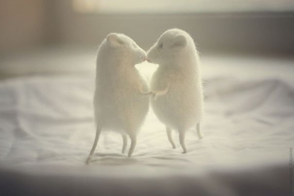 You Will Forgive Them Again And Again: Extremely Cute Mice With A Heartwarming Look
