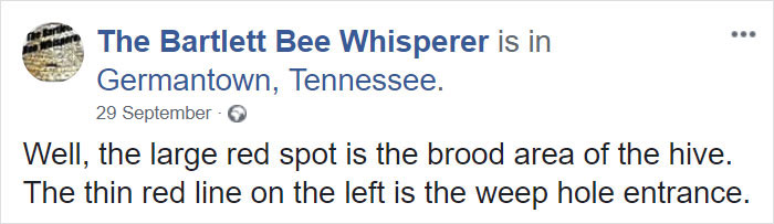 Bee Remover Posts What He Found After Removing The Bricks From A Client's Home, And His Photos Go Viral Bee Remover Posts What He Found After Removing The Bricks From A Client's Home, And His Photos Go Viral