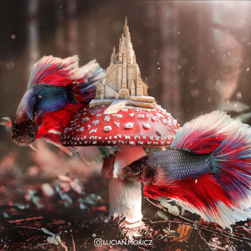 The Forest Guardians