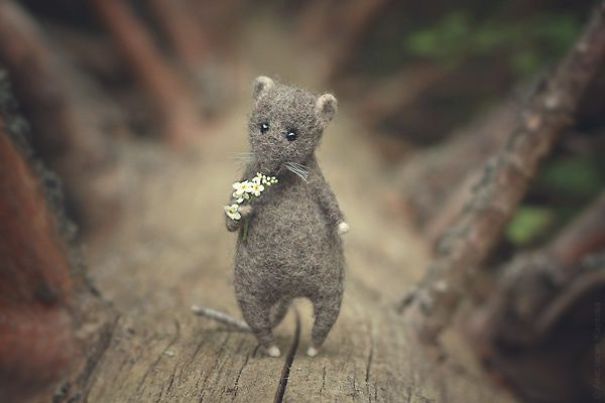 You Will Forgive Them Again And Again: Extremely Cute Mice With A Heartwarming Look