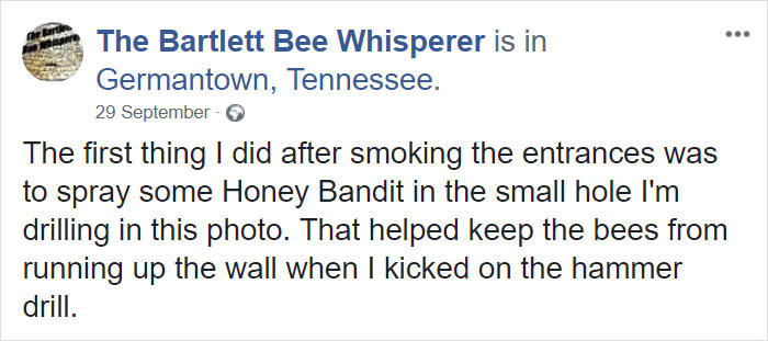 Bee Remover Posts What He Found After Removing The Bricks From A Client's Home, And His Photos Go Viral Bee Remover Posts What He Found After Removing The Bricks From A Client's Home, And His Photos Go Viral