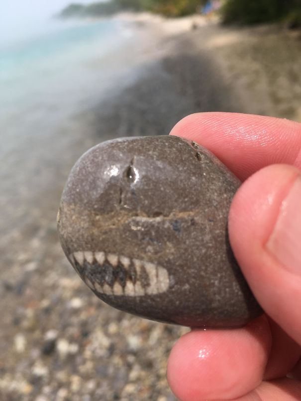 Found A Rock That Looks Like A Shark