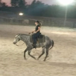 diary_of_a_equestrian19 avatar