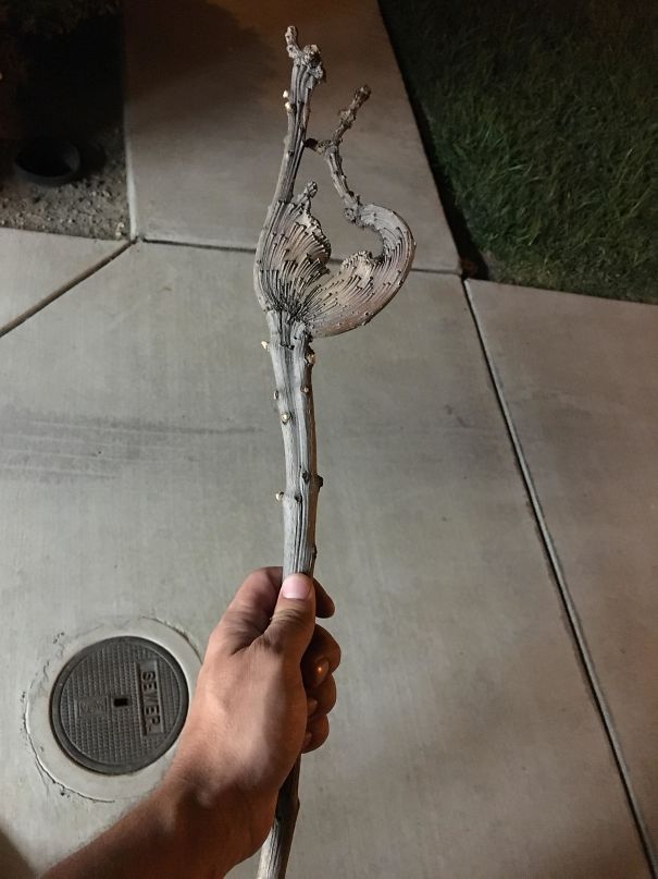 Daughter Found This Branch And Uses It As Her Magic Wand