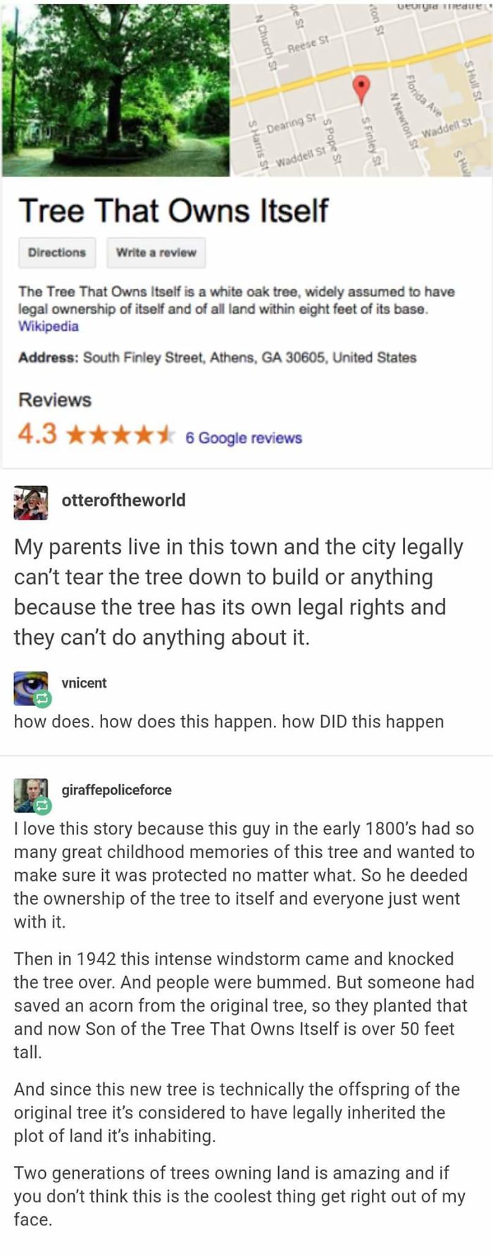 A Tree That Owns Itself