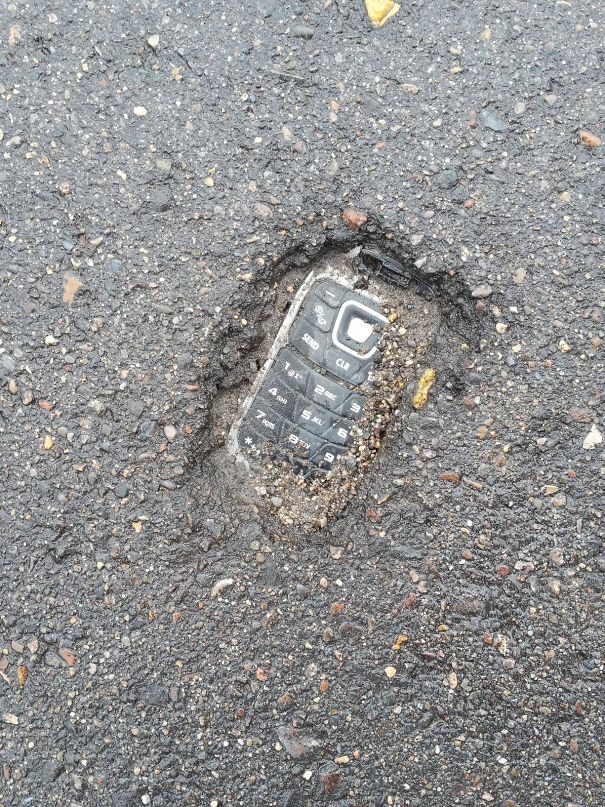 Found A Fossil In The Parking Lot Of A Pet Store