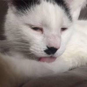 rebecca_stabile avatar