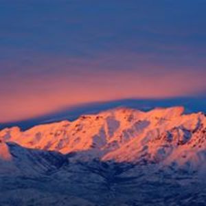 madoradataman avatar