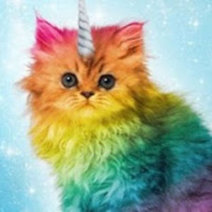 madisonkinney avatar