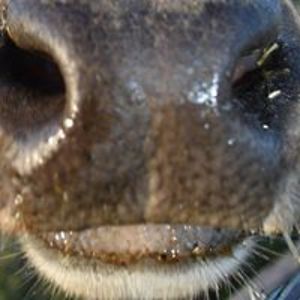 camille_alabaster avatar