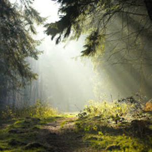 nicolemartineznikkitwoshoes avatar