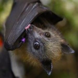 l_polinder808 avatar