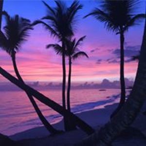 lesleigh_rider avatar